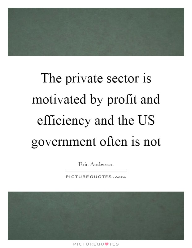 The private sector is motivated by profit and efficiency and the US government often is not Picture Quote #1