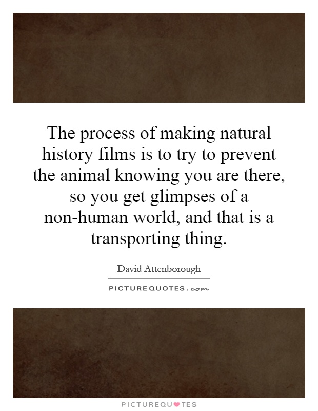 The process of making natural history films is to try to prevent the animal knowing you are there, so you get glimpses of a non-human world, and that is a transporting thing Picture Quote #1