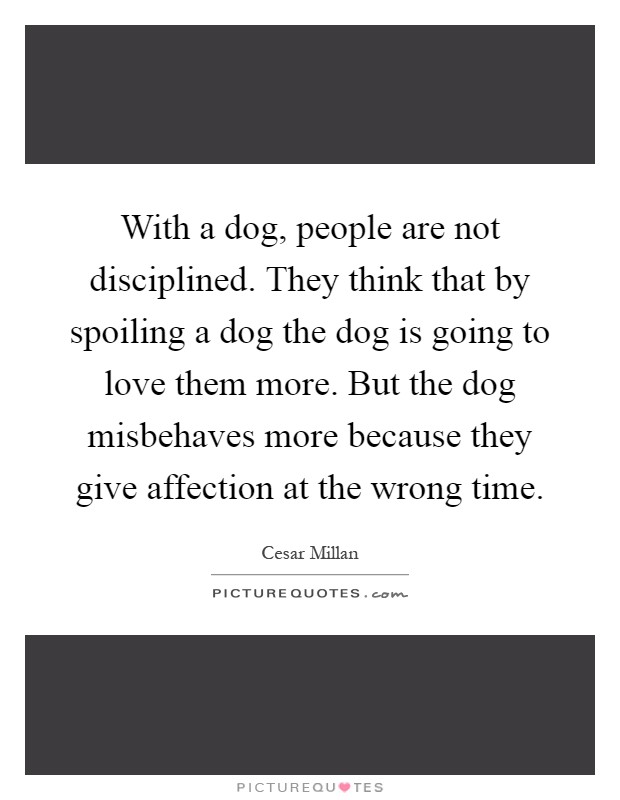 With a dog, people are not disciplined. They think that by spoiling a dog the dog is going to love them more. But the dog misbehaves more because they give affection at the wrong time Picture Quote #1