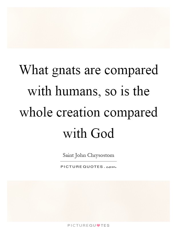 What gnats are compared with humans, so is the whole creation compared with God Picture Quote #1