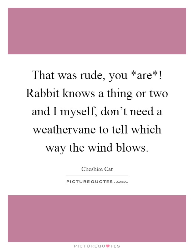 That was rude, you *are*! Rabbit knows a thing or two and I myself, don’t need a weathervane to tell which way the wind blows Picture Quote #1