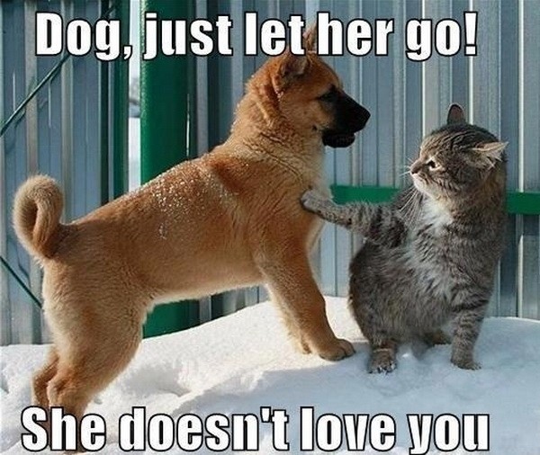 Dog, just let her go! She doesn’t love you Picture Quote #1