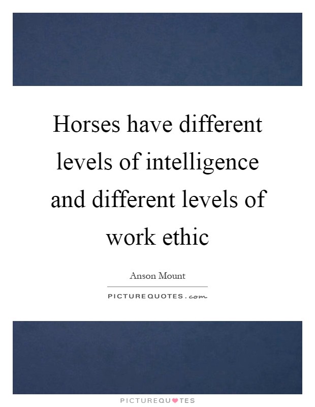 Horses have different levels of intelligence and different levels of work ethic Picture Quote #1