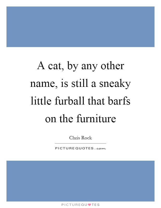 A cat, by any other name, is still a sneaky little furball that barfs on the furniture Picture Quote #1