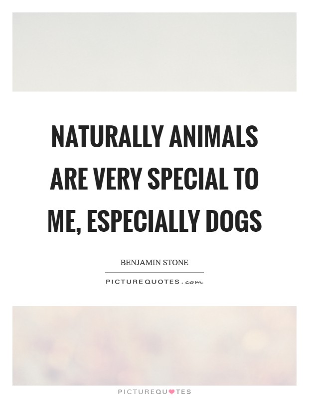 Naturally animals are very special to me, especially dogs Picture Quote #1