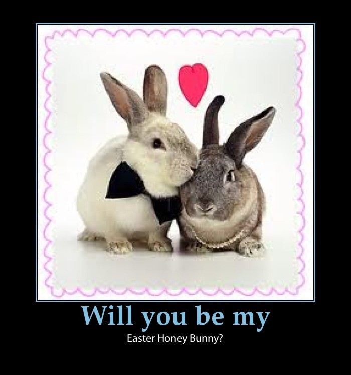 Funny Rabbit Quote | Quote Number 690284 | Picture Quotes