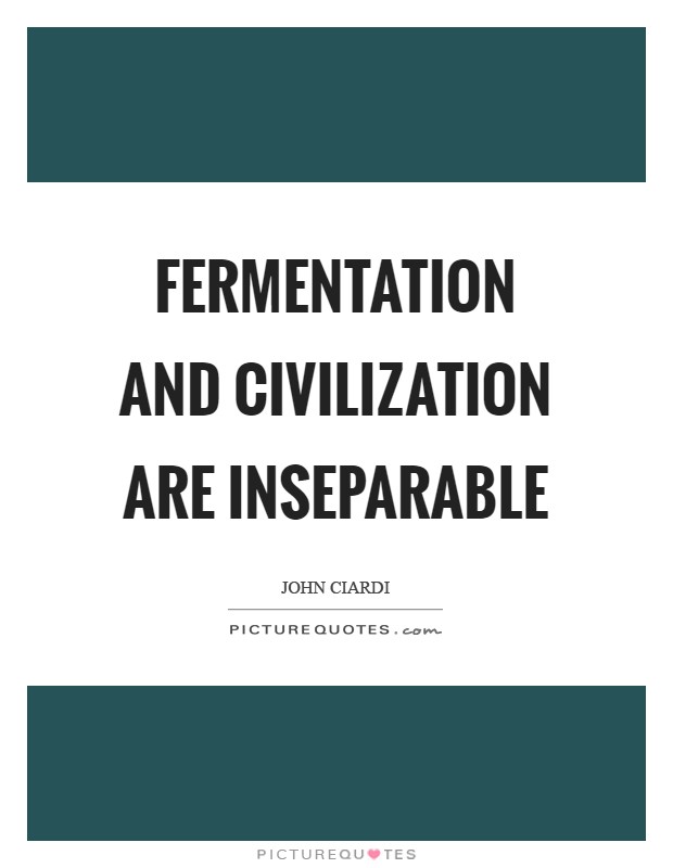 Fermentation and civilization are inseparable Picture Quote #1