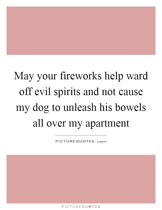 May your fireworks help ward off evil spirits and not cause my dog to unleash his bowels all over my apartment Picture Quote #1