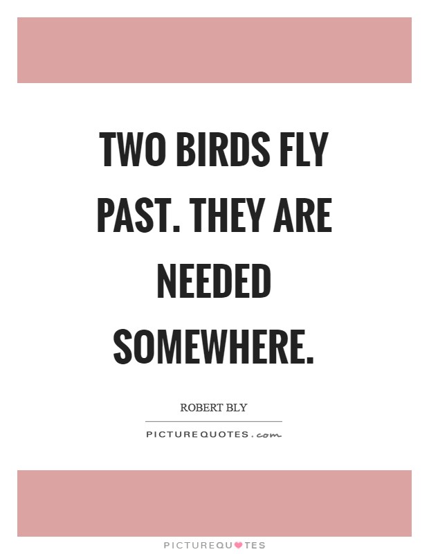 Two birds fly past. They are needed somewhere Picture Quote #1