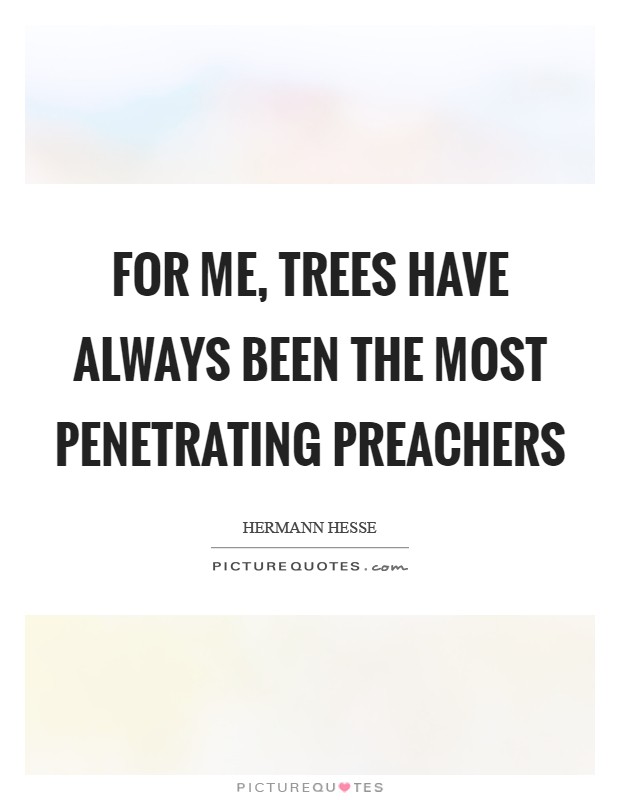 For me, trees have always been the most penetrating preachers Picture Quote #1