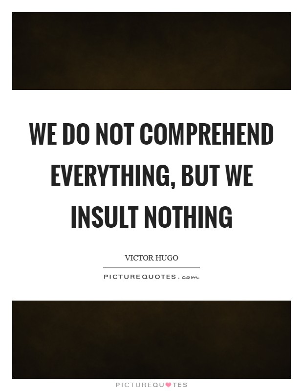 We do not comprehend everything, but we insult nothing Picture Quote #1