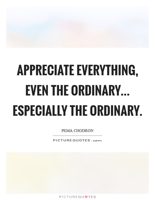 Appreciate everything, even the ordinary... Especially the ordinary Picture Quote #1