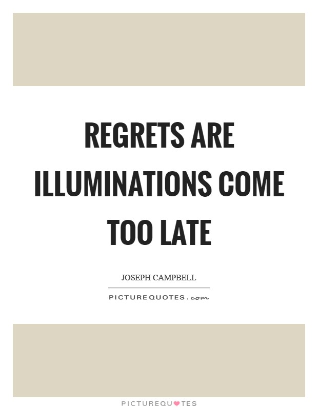 Regrets are illuminations come too late Picture Quote #1