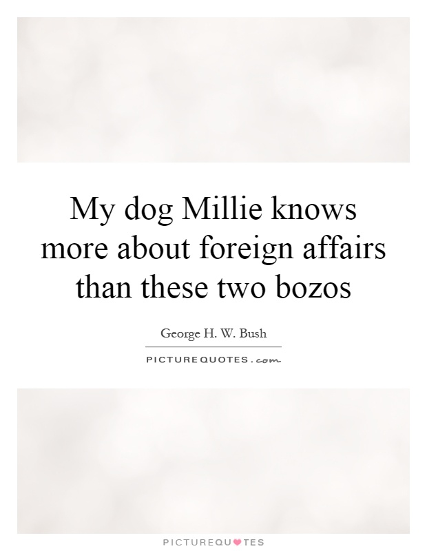 My dog Millie knows more about foreign affairs than these two bozos Picture Quote #1