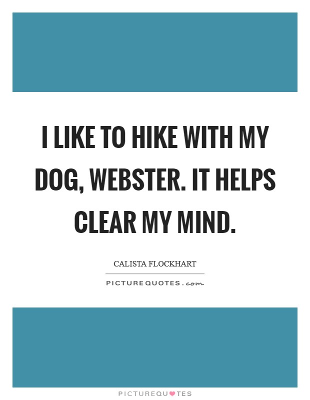 I like to hike with my dog, Webster. It helps clear my mind Picture Quote #1