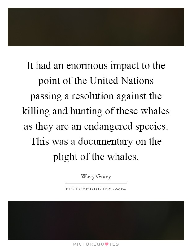 It had an enormous impact to the point of the United Nations passing a resolution against the killing and hunting of these whales as they are an endangered species. This was a documentary on the plight of the whales Picture Quote #1