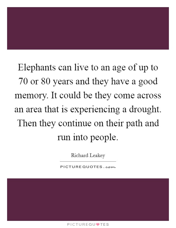Elephants can live to an age of up to 70 or 80 years and they have a good memory. It could be they come across an area that is experiencing a drought. Then they continue on their path and run into people Picture Quote #1