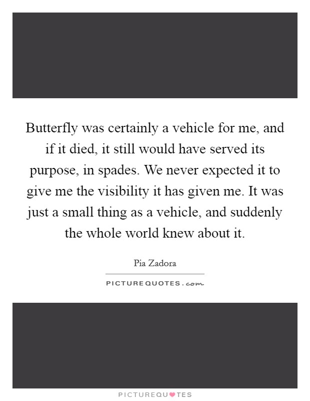 Butterfly was certainly a vehicle for me, and if it died, it still would have served its purpose, in spades. We never expected it to give me the visibility it has given me. It was just a small thing as a vehicle, and suddenly the whole world knew about it Picture Quote #1