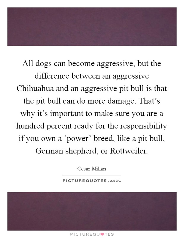 All dogs can become aggressive, but the difference between an aggressive Chihuahua and an aggressive pit bull is that the pit bull can do more damage. That’s why it’s important to make sure you are a hundred percent ready for the responsibility if you own a ‘power’ breed, like a pit bull, German shepherd, or Rottweiler Picture Quote #1