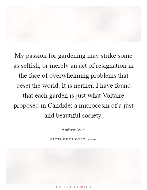 My passion for gardening may strike some as selfish, or merely an act of resignation in the face of overwhelming problems that beset the world. It is neither. I have found that each garden is just what Voltaire proposed in Candide: a microcosm of a just and beautiful society Picture Quote #1