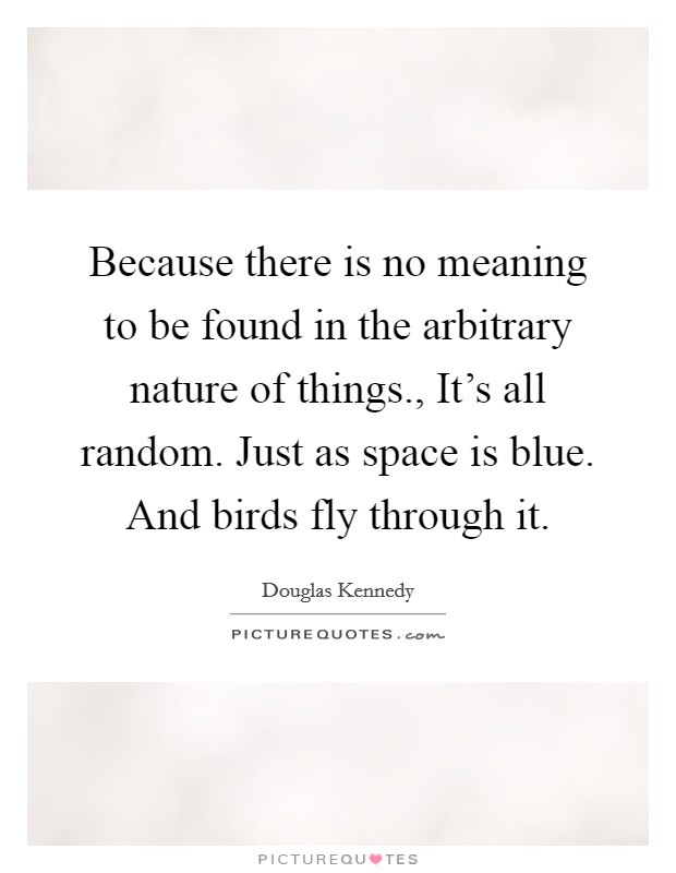 Because there is no meaning to be found in the arbitrary nature of things., It’s all random. Just as space is blue. And birds fly through it Picture Quote #1