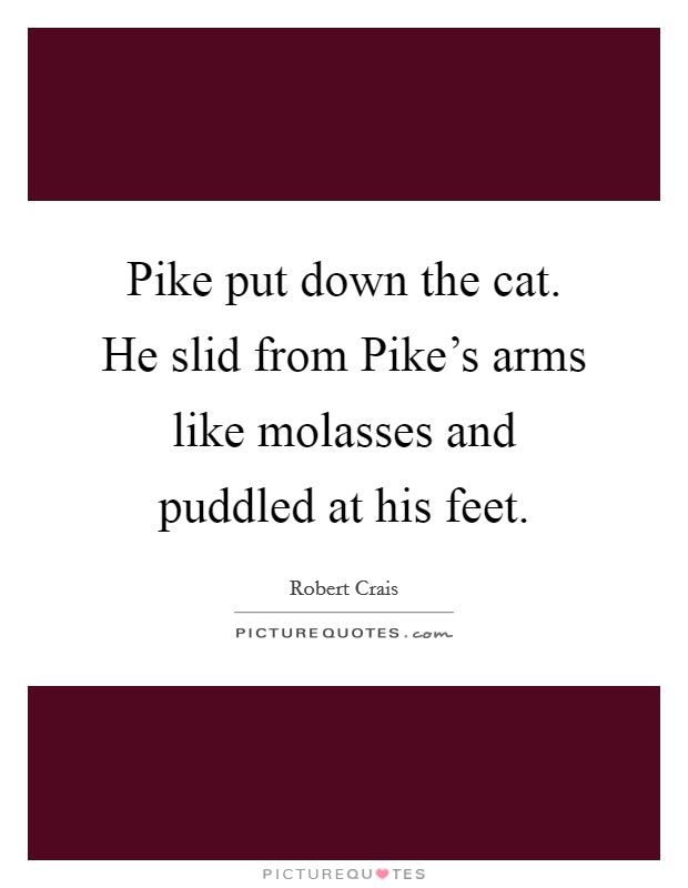 Pike put down the cat. He slid from Pike’s arms like molasses and puddled at his feet Picture Quote #1