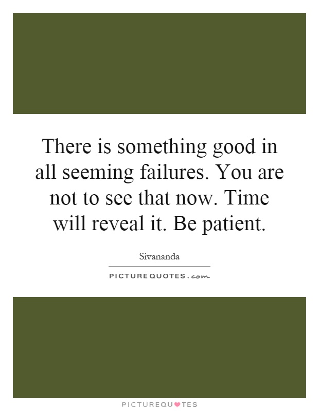 There is something good in all seeming failures. You are not to see that now. Time will reveal it. Be patient Picture Quote #1