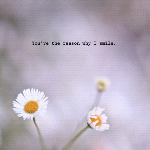 Youre The Reason I Smile Quote 2 Picture Quote #1