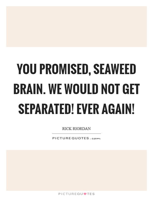 You promised, Seaweed brain. We would not get separated! Ever again! Picture Quote #1