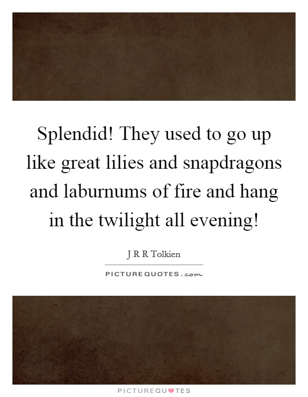 Splendid! They used to go up like great lilies and snapdragons and laburnums of fire and hang in the twilight all evening! Picture Quote #1