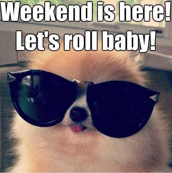 Weekend is here! Let's roll baby! Picture Quote #1