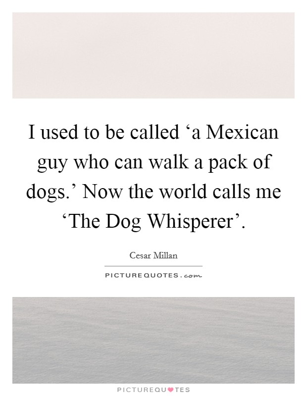 I used to be called ‘a Mexican guy who can walk a pack of dogs.’ Now the world calls me ‘The Dog Whisperer’ Picture Quote #1