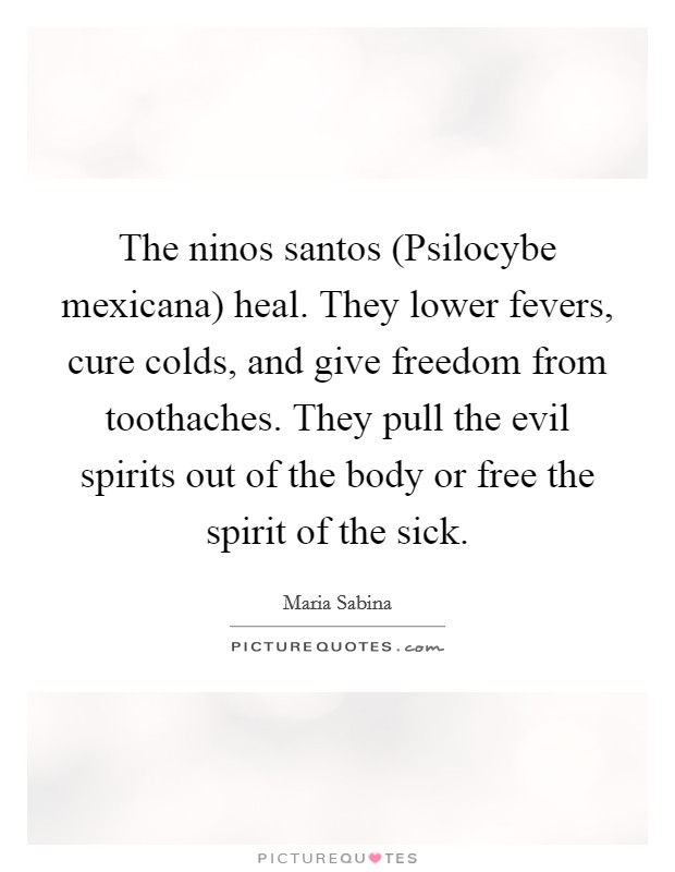 The ninos santos (Psilocybe mexicana) heal. They lower fevers, cure colds, and give freedom from toothaches. They pull the evil spirits out of the body or free the spirit of the sick Picture Quote #1