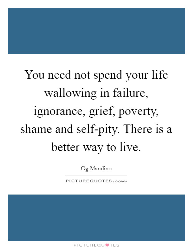 You need not spend your life wallowing in failure, ignorance, grief, poverty, shame and self-pity. There is a better way to live Picture Quote #1