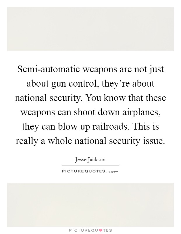 Semi-automatic weapons are not just about gun control, they’re about national security. You know that these weapons can shoot down airplanes, they can blow up railroads. This is really a whole national security issue Picture Quote #1