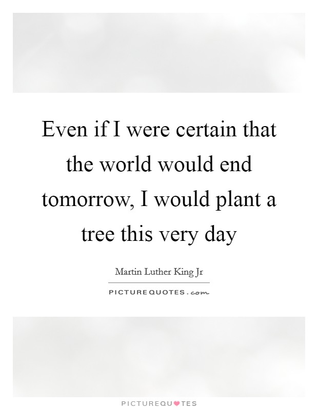 Even if I were certain that the world would end tomorrow, I would plant a tree this very day Picture Quote #1