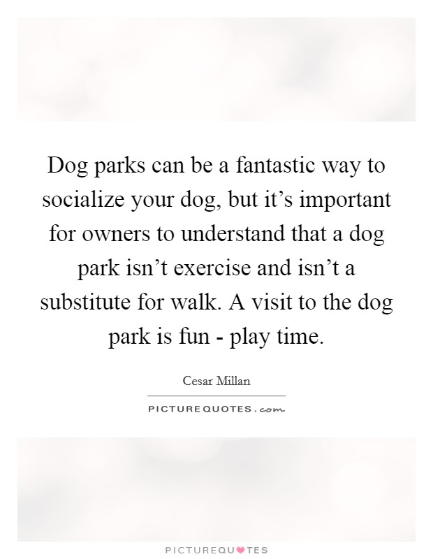 Dog parks can be a fantastic way to socialize your dog, but it’s important for owners to understand that a dog park isn’t exercise and isn’t a substitute for walk. A visit to the dog park is fun - play time Picture Quote #1