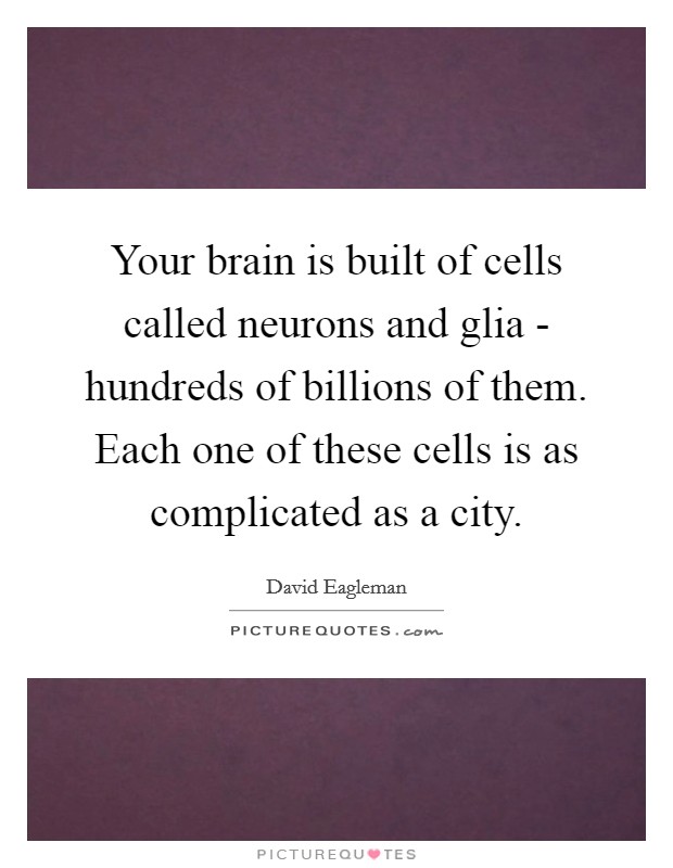 Your brain is built of cells called neurons and glia - hundreds of billions of them. Each one of these cells is as complicated as a city Picture Quote #1