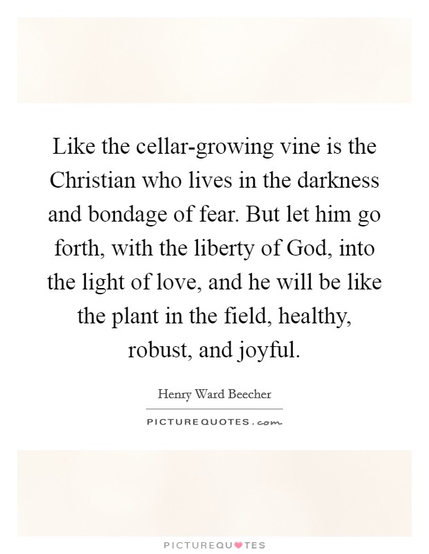 Like the cellar-growing vine is the Christian who lives in the darkness and bondage of fear. But let him go forth, with the liberty of God, into the light of love, and he will be like the plant in the field, healthy, robust, and joyful Picture Quote #1