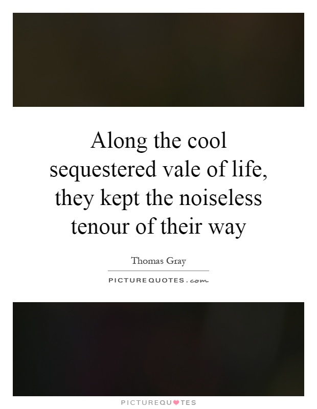 Along the cool sequestered vale of life, they kept the noiseless tenour of their way Picture Quote #1