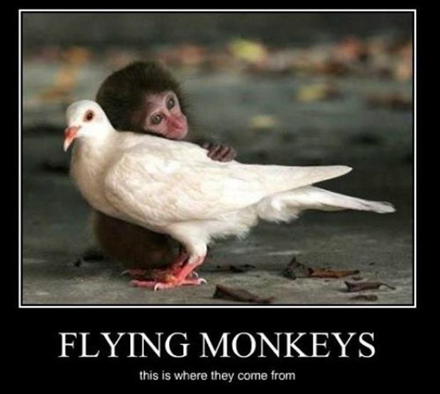 Flying monkeys - this is where they come from Picture Quote #1
