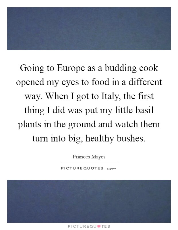 Going to Europe as a budding cook opened my eyes to food in a different way. When I got to Italy, the first thing I did was put my little basil plants in the ground and watch them turn into big, healthy bushes Picture Quote #1