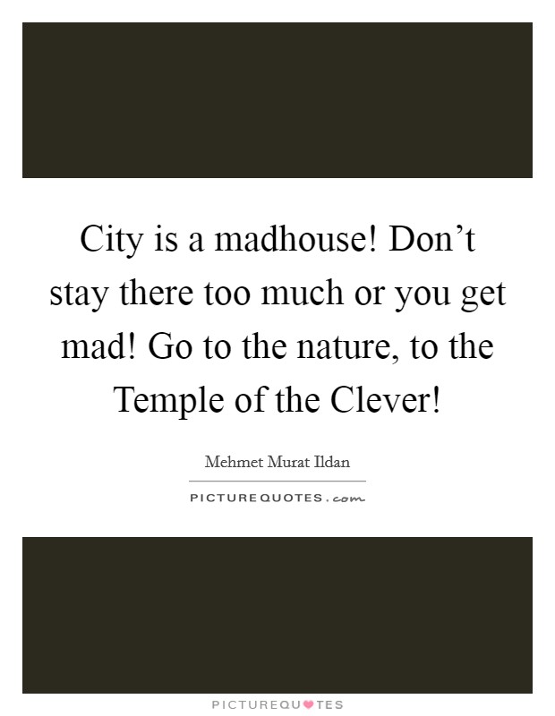 City is a madhouse! Don’t stay there too much or you get mad! Go to the nature, to the Temple of the Clever! Picture Quote #1
