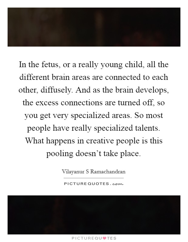 In the fetus, or a really young child, all the different brain areas are connected to each other, diffusely. And as the brain develops, the excess connections are turned off, so you get very specialized areas. So most people have really specialized talents. What happens in creative people is this pooling doesn't take place Picture Quote #1