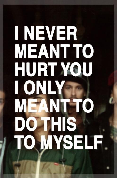 I never meant to hurt you, I only meant to do this to myself Picture Quote #1