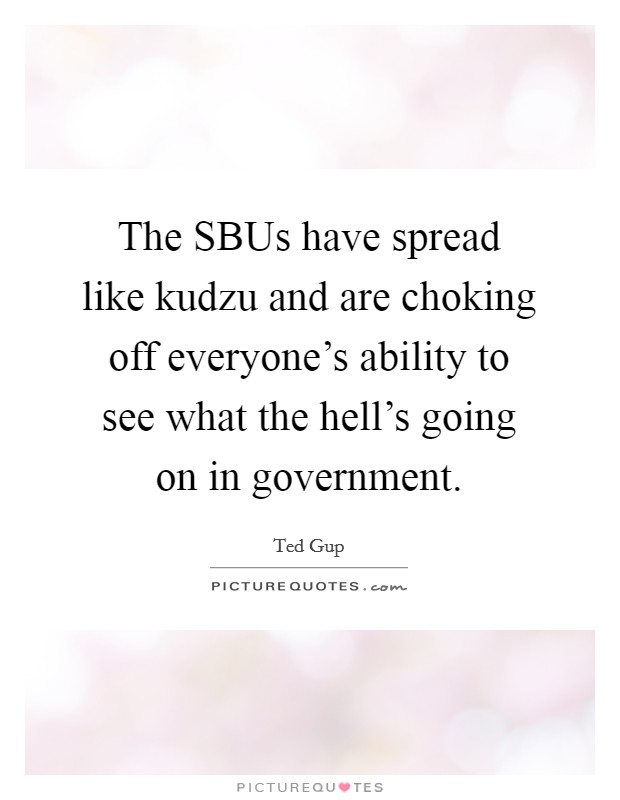 The SBUs have spread like kudzu and are choking off everyone’s ability to see what the hell’s going on in government Picture Quote #1