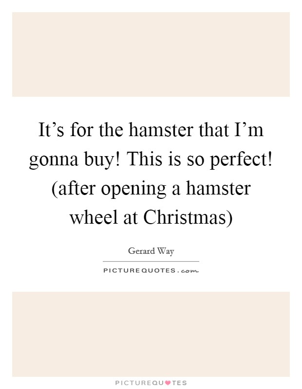 It’s for the hamster that I’m gonna buy! This is so perfect! (after opening a hamster wheel at Christmas) Picture Quote #1