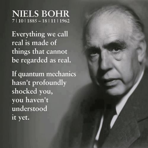 Everything we call real is made of things that cannot be regarded as real. If quantum mechanics hasn’t profoundly shocked you, you haven’t understood it yet Picture Quote #1