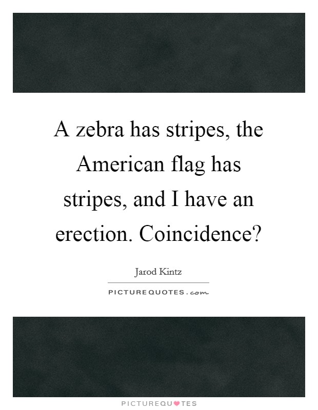 A zebra has stripes, the American flag has stripes, and I have an erection. Coincidence? Picture Quote #1