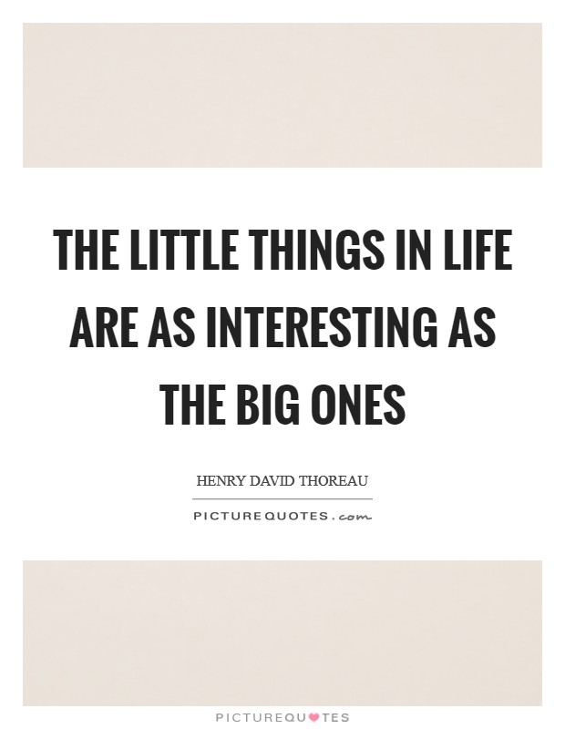 The little things in life are as interesting as the big ones Picture Quote #1